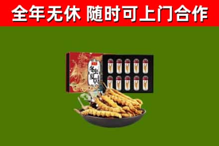 巴音郭楞州回收冬虫夏草价格